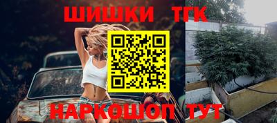 гидра Славгород