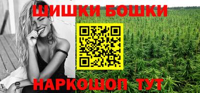 гидра Славгород