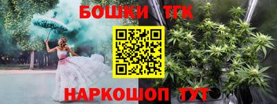 гидра Славгород